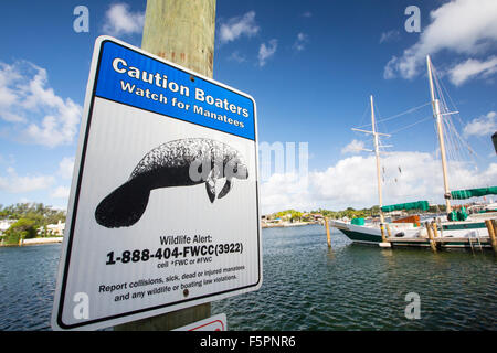Ein Zeichen über Seekühe in Miami Beach, Florida, USA. Stockfoto