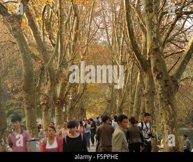 Guiyang, China Provinz Guizhou. 8. November 2015. Menschen besuchen Pingqiao Aussichtspunkt in Guiyang Stadt, Südwest-China Provinz Guizhou, 8. November 2015. Die Herbstlandschaft lockte viele Bürgerinnen und Bürger zu Rundgang durch den Ort. Bildnachweis: Tao Liang/Xinhua/Alamy Live-Nachrichten Stockfoto