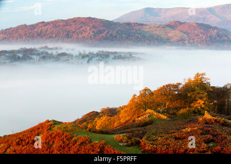 Tal-Nebel über Lake Windermere von Todd Crag im Lake District, Großbritannien im Morgengrauen, mit Blick auf Coniston Old man. Stockfoto