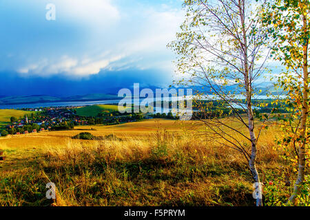 Schöne Landschaft. Birke im Bild im Vordergrund, Wiese und See mit Berg im Hintergrund. Slowakei, Mitteleuropa Stockfoto