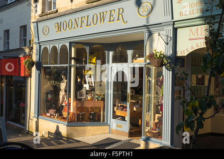 In einer kleinen Stadt in Gloucestershire England UK Moonflower Shop Stroud Stockfoto