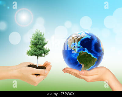 Womans Händen mit Baum und Erde Stockfoto