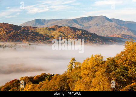 Tal-Nebel über Lake Windermere von Todd Crag im Lake District, Großbritannien im Morgengrauen, mit Blick auf Coniston Old man. Stockfoto