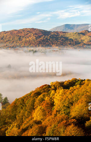 Tal-Nebel über Lake Windermere von Todd Crag im Lake District, Großbritannien im Morgengrauen, mit Blick auf Coniston Old man. Stockfoto