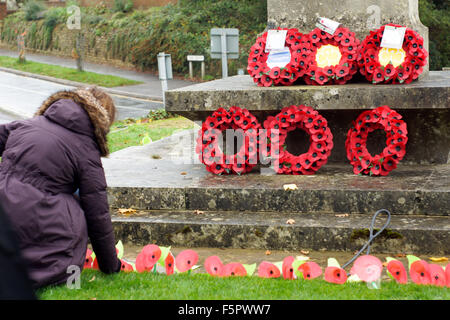 Godalming, Surrey, UK. 8. November 2015. Eine Frau legt eine Mohnblume während eines Gottesdienstes Gedenktag in Godalming in Surrey, UK. Bildnachweis: James Jagger/Alamy Live News Stockfoto