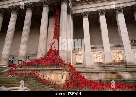 Liverpool, Vereinigtes Königreich. 8. November 2014. Das weinende Fenster in Liverpool St Georges Hall. Erstellt von Künstlern wie Paul Cummins und Tom Piper, ist es ein kleiner Teil des Kunstwerks Tower of London, die 100 Jahre seit dem Beginn des ersten Weltkrieges geprägt und zog mehr als 5 Millionen Besucher letztes Jahr. Bildnachweis: Martin Gewässer/Alamy Live-Nachrichten Stockfoto