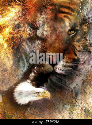 Adler und Tiger Collage auf abstrakten Hintergrund Farbe, Rost Struktur, Wildtiere Stockfoto