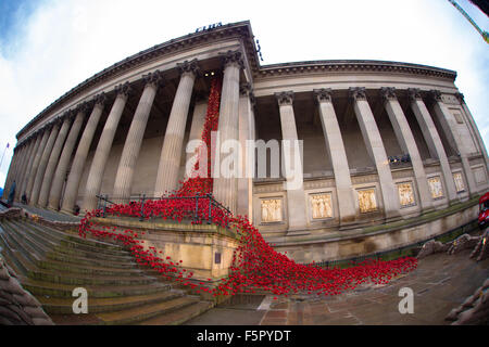 Liverpool, Vereinigtes Königreich. 8. November 2014. Das weinende Fenster in Liverpool St Georges Hall. Erstellt von Künstlern wie Paul Cummins und Tom Piper, ist es ein kleiner Teil des Kunstwerks Tower of London, die 100 Jahre seit dem Beginn des ersten Weltkrieges geprägt und zog mehr als 5 Millionen Besucher letztes Jahr. Bildnachweis: Martin Gewässer/Alamy Live-Nachrichten Stockfoto