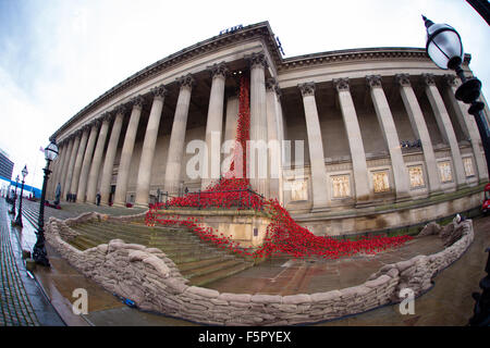 Liverpool, Vereinigtes Königreich. 8. November 2014. Das weinende Fenster in Liverpool St Georges Hall. Erstellt von Künstlern wie Paul Cummins und Tom Piper, ist es ein kleiner Teil des Kunstwerks Tower of London, die 100 Jahre seit dem Beginn des ersten Weltkrieges geprägt und zog mehr als 5 Millionen Besucher letztes Jahr. Bildnachweis: Martin Gewässer/Alamy Live-Nachrichten Stockfoto
