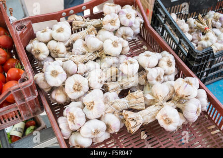 Frische Knoblauchzehen, Lampen am Stand im Zentrum von Limoux, Süden, Frankreich, Aude, Markt, Geschäfte, Wein, Stadt, Stockfoto