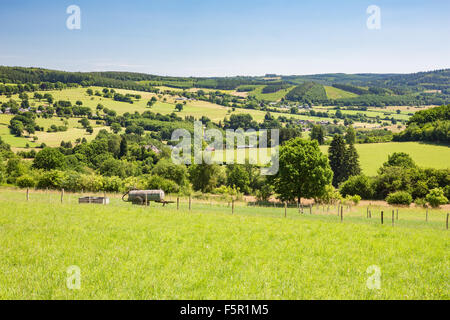 Landschaft in den belgischen Ardennen Stockfoto