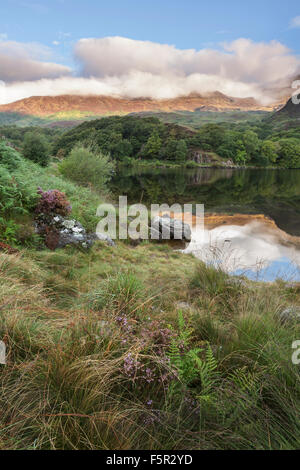 Die Ufer des Llyn Dinas, Snowdonia, ist im Schatten, während am frühen Morgen Sonnenaufgang leuchtet der Cloud Berge bedeckt. Stockfoto