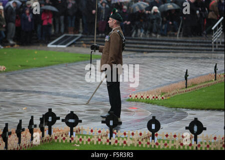 Belfast, UK. 8. November 2015. Eine Ehrenwache steht Aufmerksamkeit mit erhobenem Schwert Credit: Bonzo/Alamy Live News Stockfoto