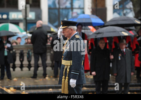 Belfast, UK. 8. November 2015. Oberst W R Harbour an der Kenotaph für den nationalen Tag der Erinnerung. Bildnachweis: Bonzo/Alamy Live-Nachrichten Stockfoto