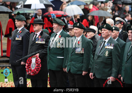 Belfast, UK. 8. November 2015. Veteranen der Kenotaph für den nationalen Tag der Erinnerung. Bildnachweis: Bonzo/Alamy Live-Nachrichten Stockfoto