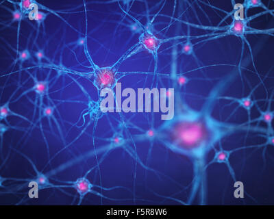 Neuronales Netz, Gehirnzellen, menschlichen Nervensystem Stockfoto