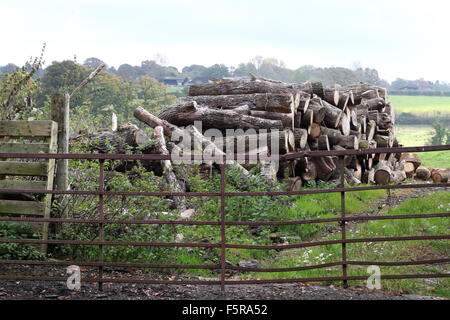 Protokoll-Stapel auf Bauernhof Stockfoto