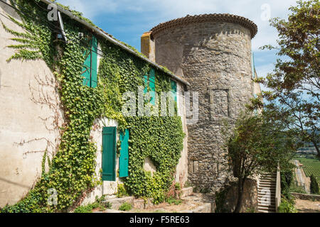 Bei Pechlatt Nahaufnahme Pech-Latt Weinberge, von Wein erzeugenden Trauben in Wein erzeugenden Fläche der Region Frankreichs Lagrasse,Aude.South. Stockfoto