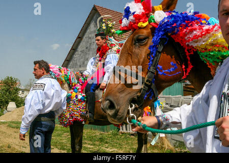 Der Ritt der Könige. Traditionelle Folklore-Festival, Vlcnov, UNESCO, Süd-Mähren, Tschechische Republik Stockfoto