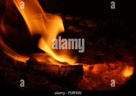 Nahaufnahme von Brennholz Stockfoto