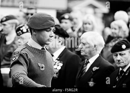 Remembrance Day Parade Welwyn Garden City, Hertfordshire, Großbritannien. Eine Sammlung von Fotos von der letzten Parade in Welwy Stockfoto