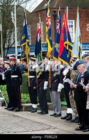 Remembrance Day Parade Welwyn Garden City, Hertfordshire, Großbritannien. Eine Sammlung von Fotos von der letzten Parade in Welwy Stockfoto