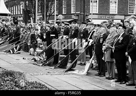 Remembrance Day Parade Welwyn Garden City, Hertfordshire, Großbritannien. Eine Sammlung von Fotos von der letzten Parade in Welwy Stockfoto