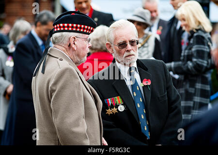 Remembrance Day Parade Welwyn Garden City, Hertfordshire, Großbritannien. Eine Sammlung von Fotos von der letzten Parade in Welwy Stockfoto