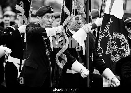 Remembrance Day Parade Welwyn Garden City, Hertfordshire, Großbritannien. Eine Sammlung von Fotos von der letzten Parade in Welwy Stockfoto