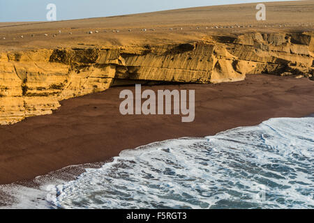 Paracas National Reserve in Peru Stockfoto