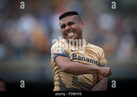 Mexico City, Mexiko. 8. November 2015. Pumas De La UNAM's Daniel Luduena feiert seine Gäste während des Spiels entsprechend den Tag 16 der 2015 Eröffnungsturnier der MX-Liga gegen Queretaro, im Olympiastadion von Universität in Mexiko-Stadt, Hauptstadt von Mexiko, am 8. November 2015 statt. De La UNAM Pumas gewann das Spiel 2: 1. Bildnachweis: Pedro Mera/Xinhua/Alamy Live-Nachrichten Stockfoto