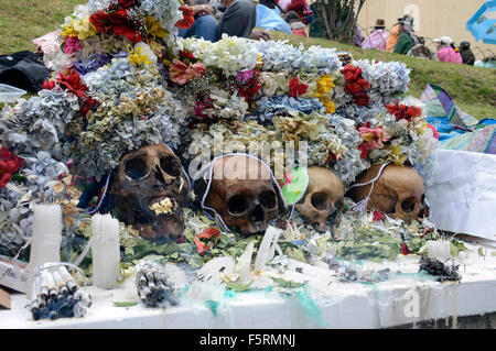 La Paz, Bolivien. 8. November 2015. Totenköpfe sind während der Feier des Tages der "Natitas" in die allgemeine Friedhof von La Paz, Bolivien, am 8. November 2015 eingerichtet. Der Tag des "Natitas" ist am achten Tag November in Bolivien statt. Die "Natitas" sind menschliche Schädel, die gepflegt und geschmückt von den Gläubigen, die verwenden sie als Amulette, die glauben, dass sie als Schutz dienen. Das Festival ist eine Mischung aus Anden Ahnenverehrung und katholischen Glauben, die mit Ritualen mit Blumen, Nahrung, Coca war, Cigarretts, Alkohol, Musik-Bands gehalten wird. Bildnachweis: Xinhua/Alamy Live-Nachrichten Stockfoto