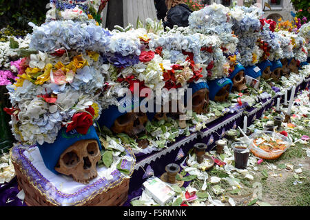 La Paz, Bolivien. 8. November 2015. Totenköpfe sind während der Feier des Tages der "Natitas" in die allgemeine Friedhof von La Paz, Bolivien, am 8. November 2015 eingerichtet. Der Tag des "Natitas" ist am achten Tag November in Bolivien statt. Die "Natitas" sind menschliche Schädel, die gepflegt und geschmückt von den Gläubigen, die verwenden sie als Amulette, die glauben, dass sie als Schutz dienen. Das Festival ist eine Mischung aus Anden Ahnenverehrung und katholischen Glauben, die mit Ritualen mit Blumen, Nahrung, Coca war, Cigarretts, Alkohol, Musik-Bands gehalten wird. Bildnachweis: Xinhua/Alamy Live-Nachrichten Stockfoto