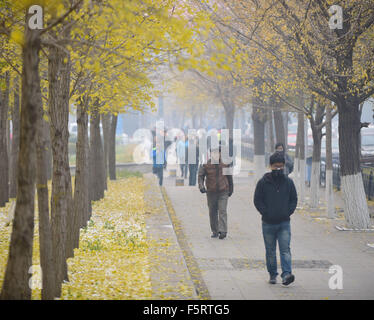 Shenyang, China Liaoning Provinz. 9. November 2015. Die Menschen gehen im Smog eingehüllt Straße in Shenyang, Hauptstadt des nordöstlichen Chinas Liaoning Provinz, 9. November 2015. Bildnachweis: Yang Qing/Xinhua/Alamy Live-Nachrichten Stockfoto