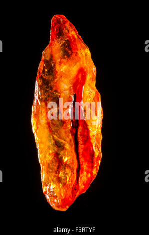 Afrikanische gelben Kristall Druzy Mineral Stein in Studioumgebung Stockfoto