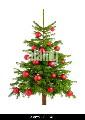 Saubere Studioaufnahme von einem Weihnachtsbaum dekoriert mit roten Kugeln, isoliert auf weiss Stockfoto