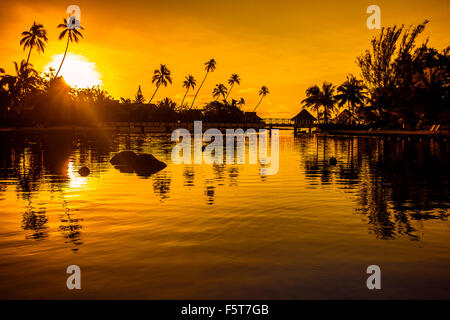 Sonnenuntergang in ein tropisches Paradies mit Palmen und das Meer Stockfoto