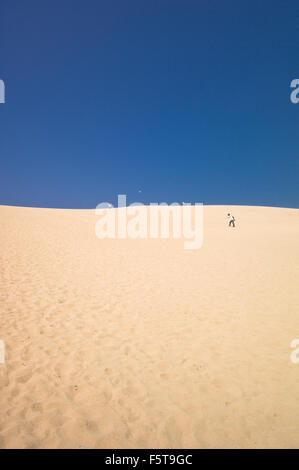 Tottori Sanddünen - Japan Stockfoto