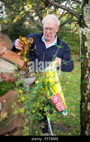 Älterer Herr Reinigung einer Regenrinne Blätter in North Yorkshire Stockfoto