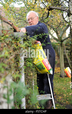 Älterer Herr Reinigung einer Regenrinne Blätter in North Yorkshire Stockfoto