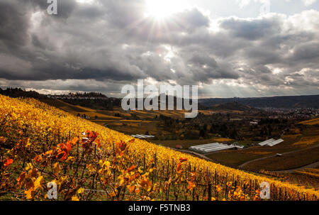 Die Sonne lugt durch den bewölkten Himmel über die herbstlich gefärbten Weinberge rund um Kappelberg Hügel in der Nähe von Fellbach und Stuttgart, Deutschland, 9. November 2015. Das Wetter in der Region bleibt Warm noch bewölkt. Foto: Christoph Schmidt/dpa Stockfoto