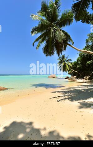 Strand von Anse À la Mouche, Insel Mahe, Seychellen Stockfoto