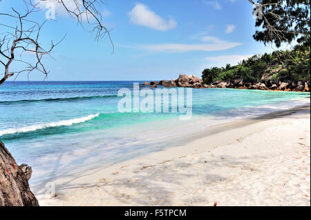 Strand Anse Cocos, Insel La Digue, Seychellen Stockfoto