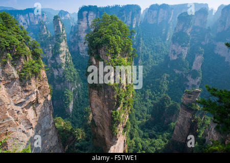 Hallelujah Berge, Sandstein Türme, Berge von Zhangjiajie, Wulingyuan Nationalpark, Provinz Hunan, China Stockfoto