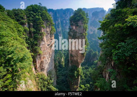Hallelujah Berge, Sandstein Türme, Berge von Zhangjiajie, Wulingyuan Nationalpark, Provinz Hunan, China Stockfoto