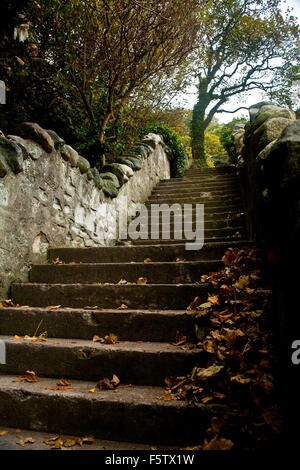 Herbst-Treppe im Ravenscraig Park, Kirkcaldy Fife Schottland Stockfoto