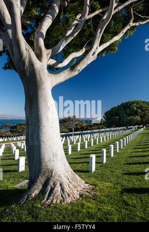 Reihen von Grabsteinen auf dem gepflegten Rasen an Ft Rosecrans National Cemetery, Point Loma, San Diego, Kalifornien Stockfoto