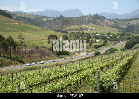 Reihen von Reben und der R44 Highway in Stellenbosch in der westlichen Kapregion Südafrikas Stockfoto