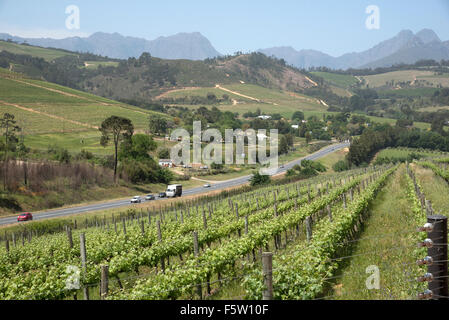 Reihen von Reben und der R44 Highway in Stellenbosch in der westlichen Kapregion Südafrikas Stockfoto