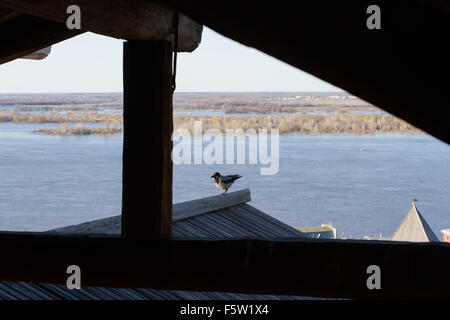 Vogel auf der Veranda eines Hauses in einer Landschaft Stockfoto